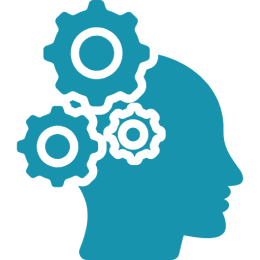 Capability Building